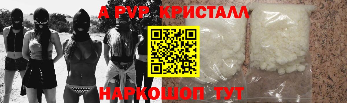 A PVP крисы CK Новочеркасск