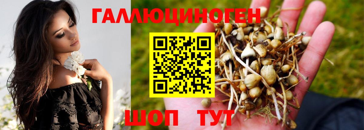 Новочеркасск  Галлюциногенные грибы прущие грибы  Вход с VPN 